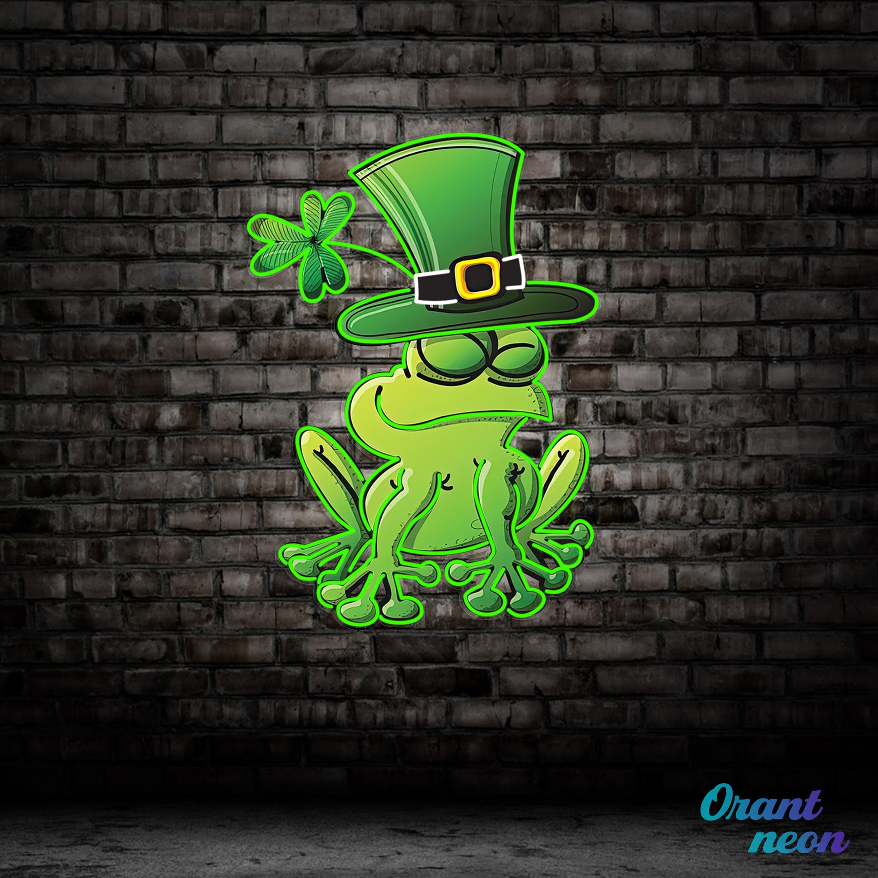 Patrick's Day Frog Wearing Hat and Sleeping Led Neon Acrylic Artwork