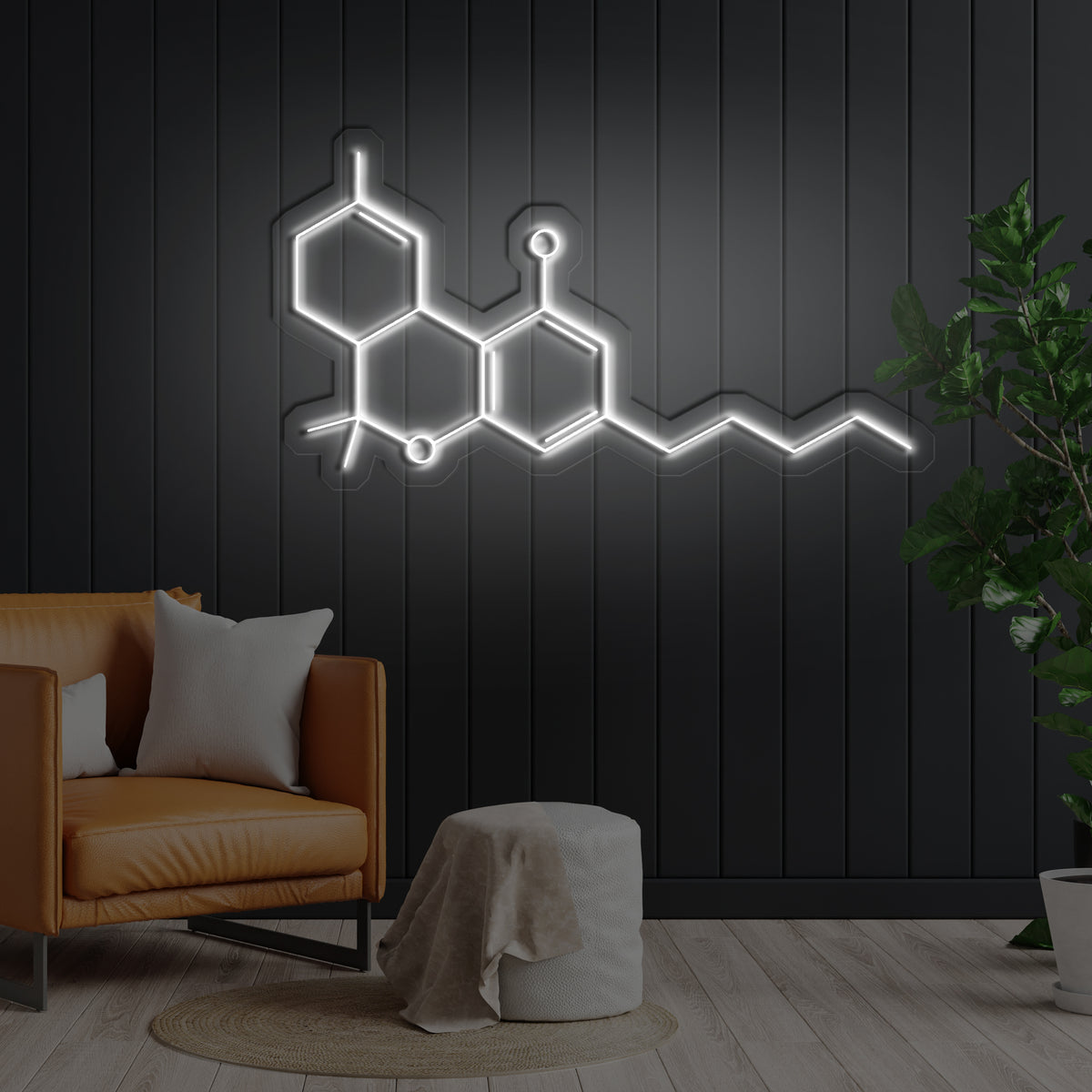 THC Molecule