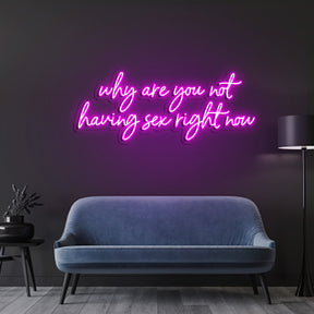 Why Are We Not Having Sex Right Now